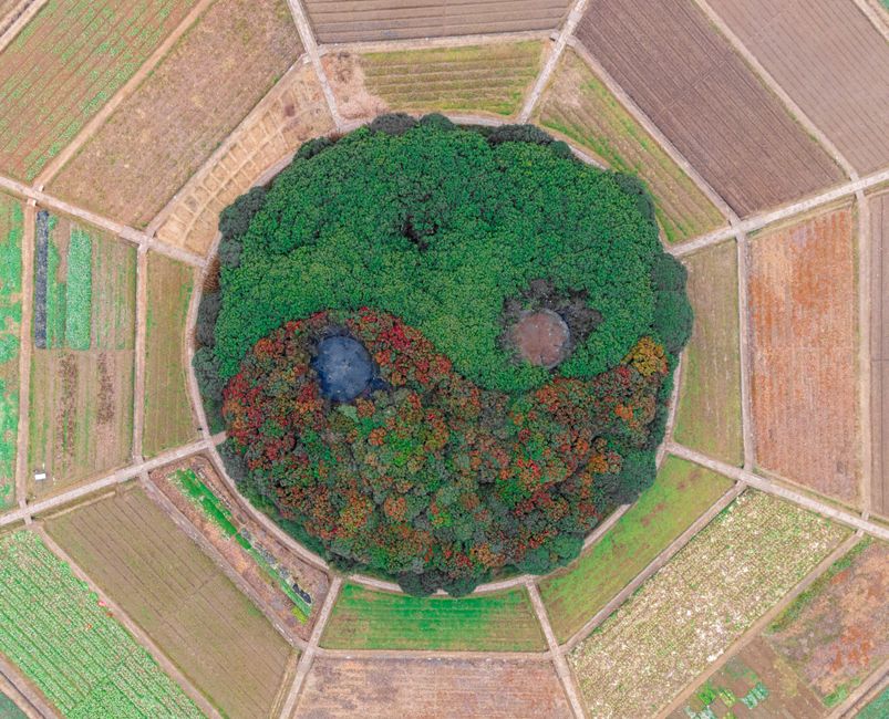 Combien Coûte Réellement Techniques de Permaculture & Sol en 2026 ? Budget et Devis