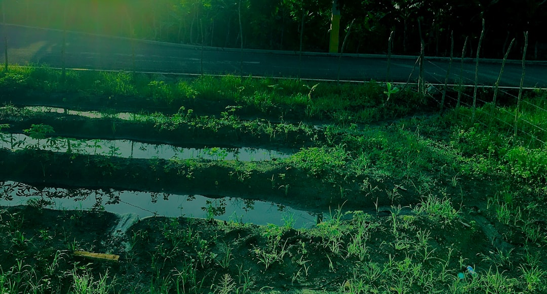 Faut-il Faire Appel à un Pro ou Réaliser Techniques de Permaculture & Sol Soi-Même ?