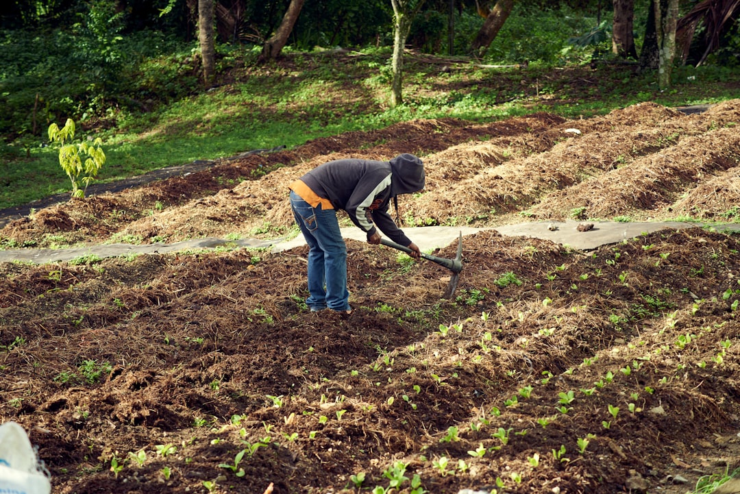 Innovations et Tendances Clés pour Techniques de Permaculture & Sol en 2026