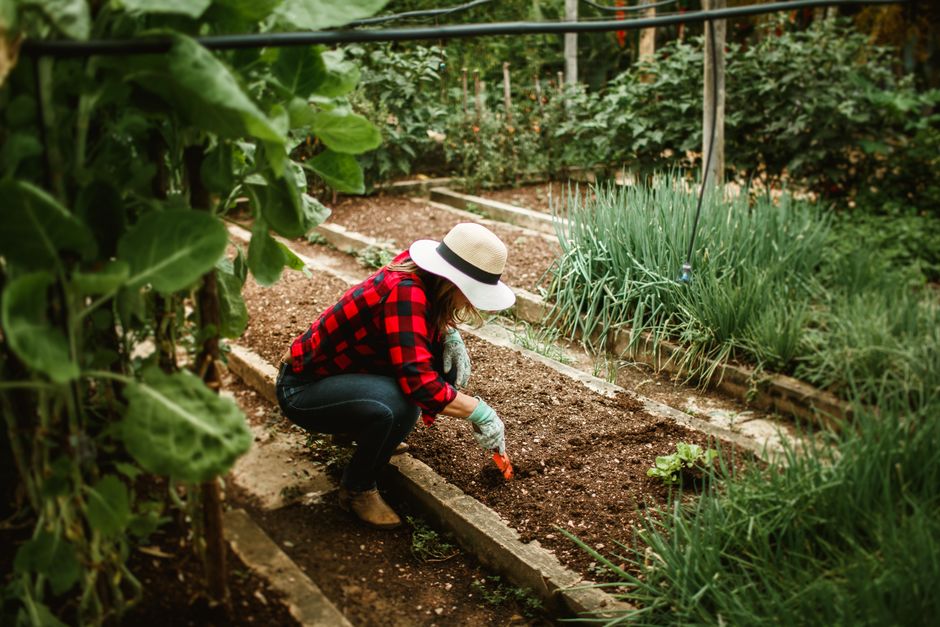 Les Meilleurs Équipements et Outils Recommandés pour Techniques de Permaculture & Sol