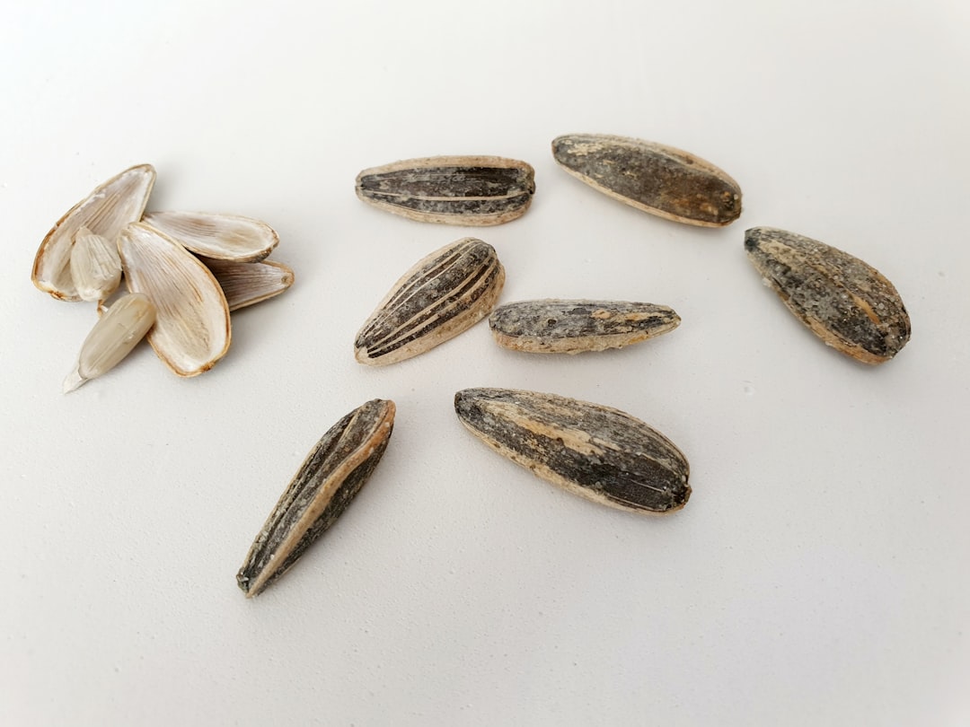 Optimiser l'Efficacité de Semis, Bouturage & Graines : 7 Astuces de Spécialiste