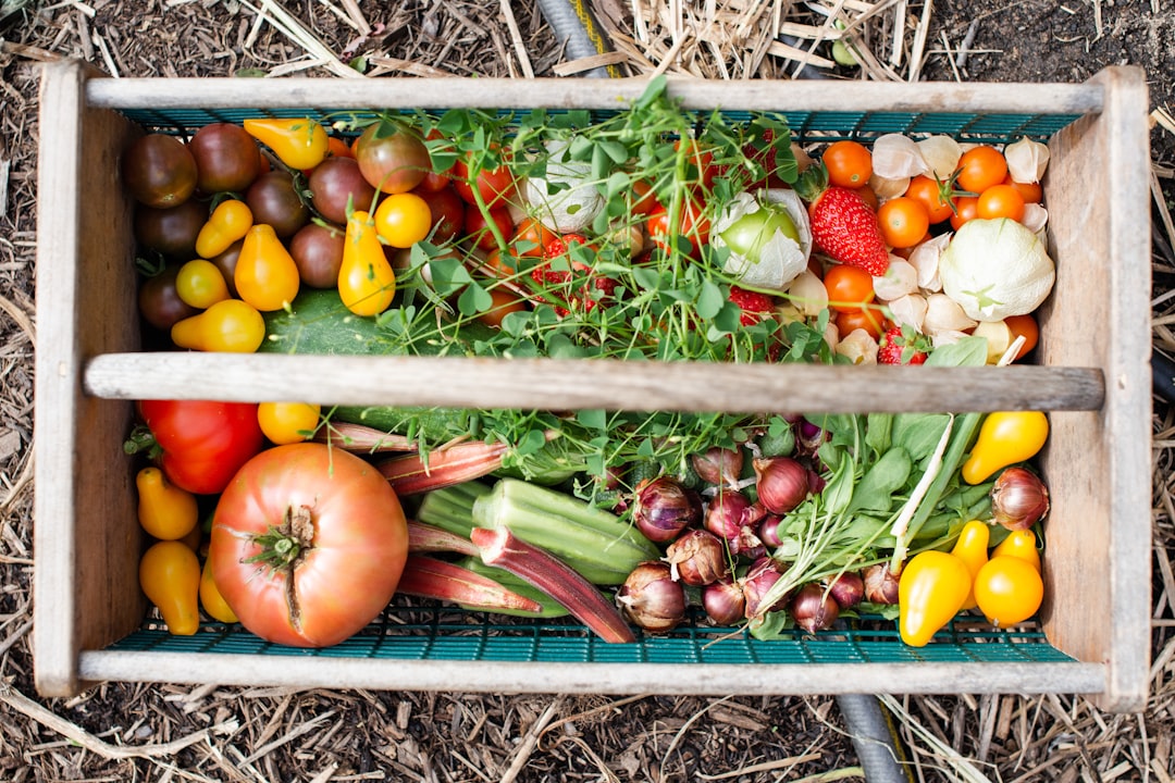 Potager Mois par Mois en Ville et Logement Urbain : Guide Pratique