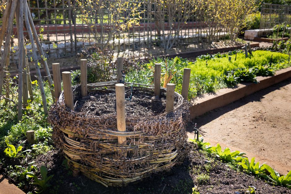 Potager Mois par Mois et Écologie : Allier Performance et Durabilité