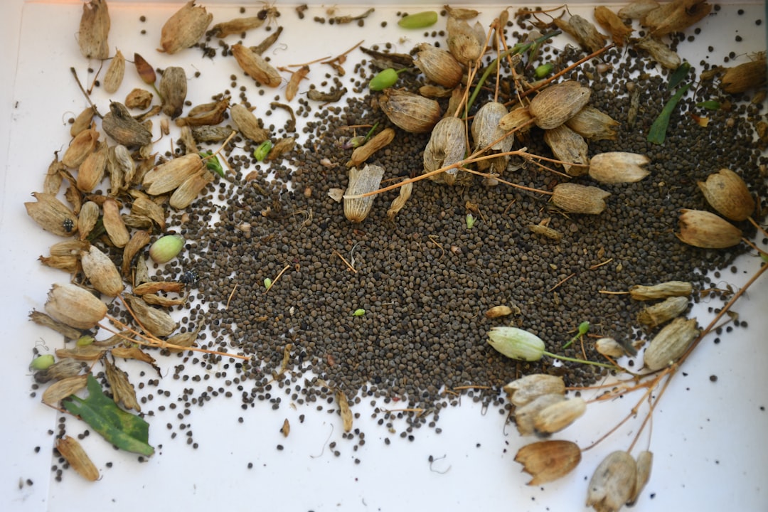 Potager Mois par Mois : Les 5 Erreurs Fréquentes et Comment les Éviter