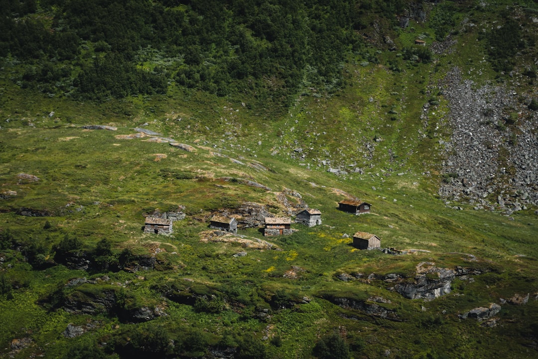 Techniques de Permaculture & Sol pour Débutants : Le Guide Essentiel de Démarrage